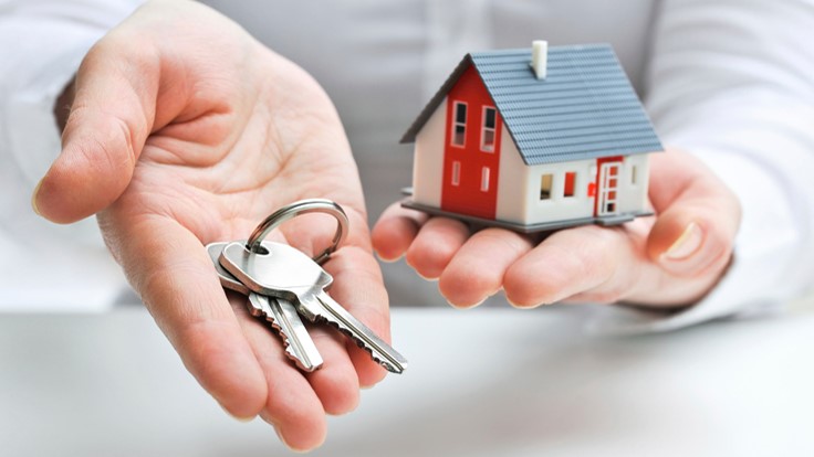Home Search